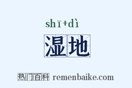 湿地是什么意思的图片